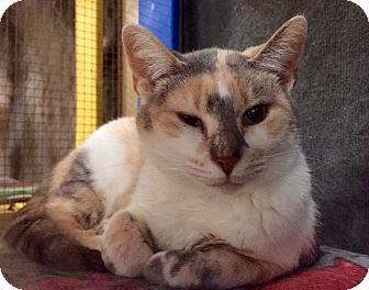 Nadia (16214871)