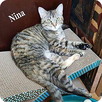 Nina (17952469)