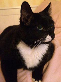 Norman (21097062)
