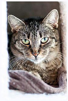 Oatmeal (10047284)