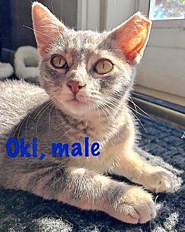 Oki (18513406)
