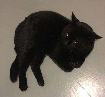 Oscar (21089593)