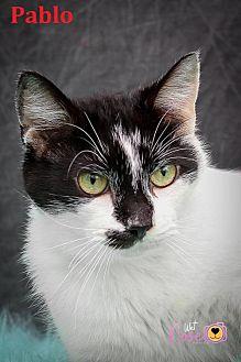 Pablo (20917932)