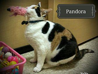Pandora (21110971)