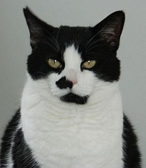 Patches (18121955)