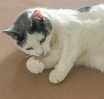 Patsy (18362386)