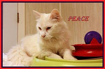 Peace (19750426)