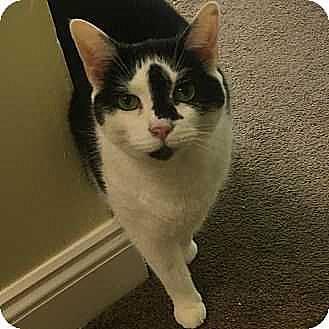 Peaches (20177301)