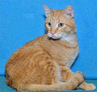 Peaches (20967454)