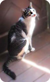Peanut (16620972)