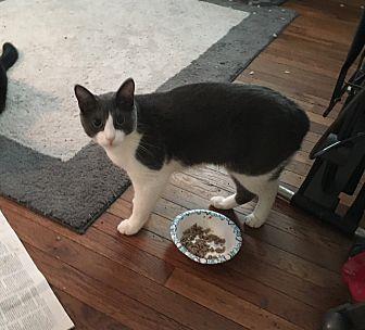 PeeWee (17310142)