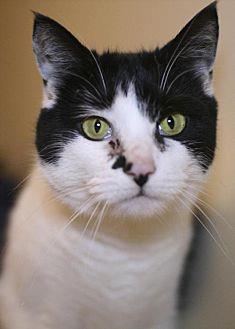 Penelope (20693661)