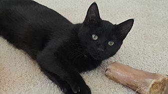 Pepa (20909993)