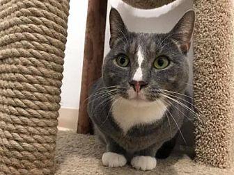 Petey (20817933)