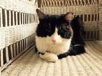 Pookie (14859716)