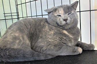 Praline (20138618)