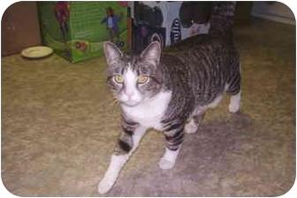 Prince Willi (4946805)
