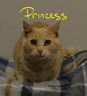 Princess (20730411)