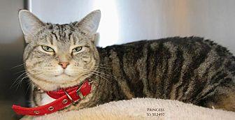 Princess (20855155)