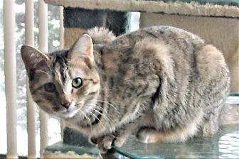 Princess Kat (21066804)