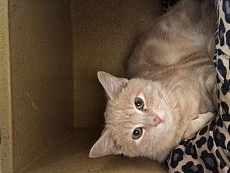 Purr Malone (21077384)