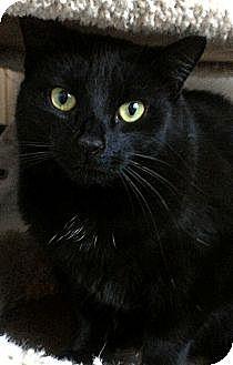 Queen Latifa (8639496)