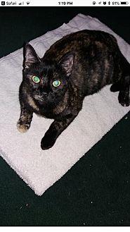 Raggs (20894310)