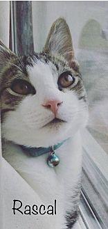 Rascal (20832219)