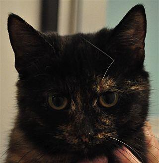 Reese (20852076)