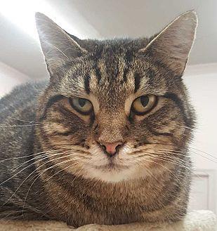 Reggie (18533672)