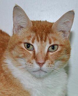 Remington (15707926)