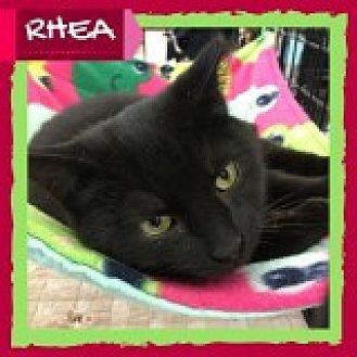Rhea (20622594)
