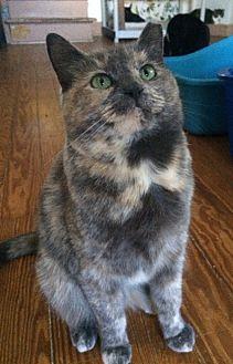 Rosie (17603840)