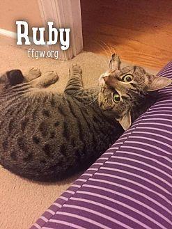 Ruby (21053690)
