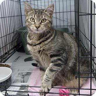 Ruby: Declaw (18737627)