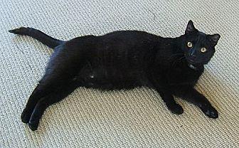 Rufus (20082961)