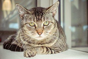 Rummy (21121282)