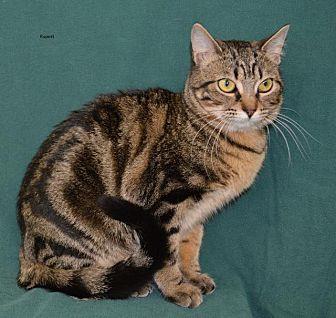 Rupert (18896129)