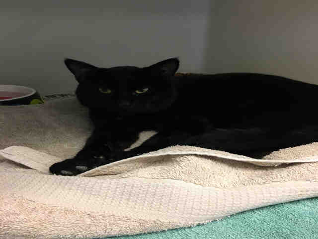 RUPERT (A147121)