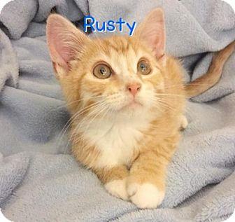 Rusty (18893168)