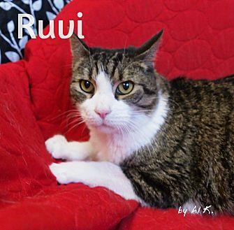 Ruvi (20790111)