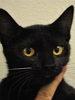 Sabrina (20852097)