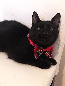 Salem (19654586)
