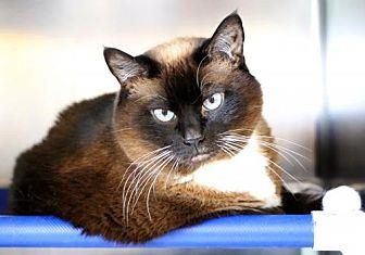 Sally (15966547)