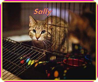 Sally (17973938)