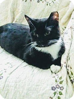 Sammy (17423397)