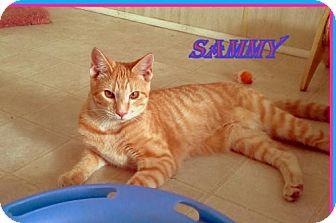 Sammy (18326646)