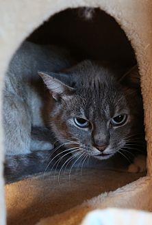Sampson (20569977)