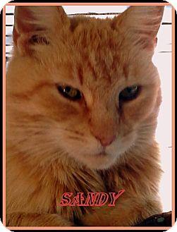 Sandy (16808678)
