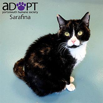 Sarafina (20775439)